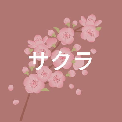サクラさん